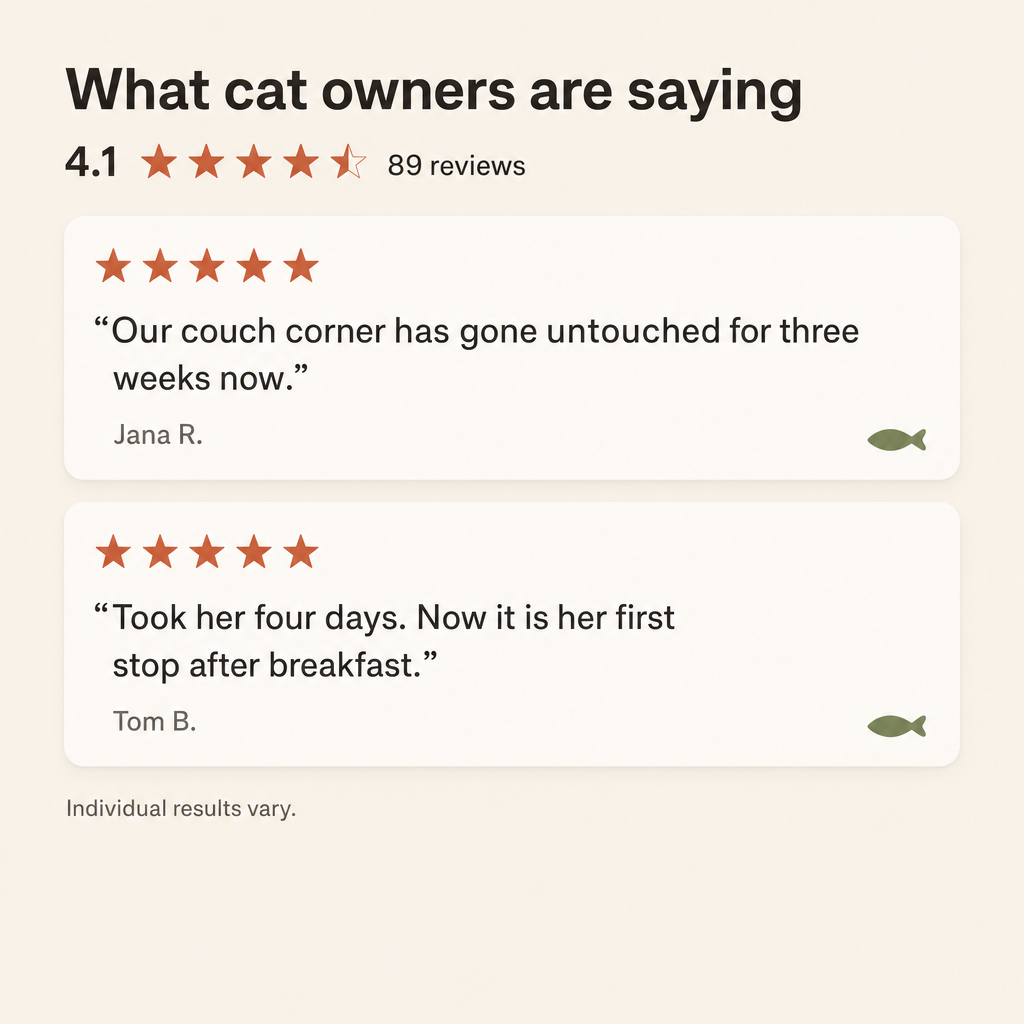 Cat Scratch Box